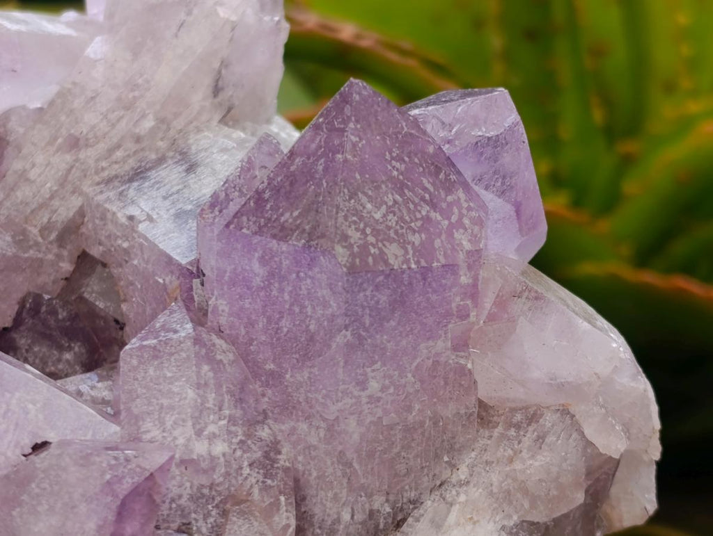 Natural Jacaranda Amethyst Crystal Clusters x 2 From Mumbwa, Zambia - Toprock Gemstones and Minerals 