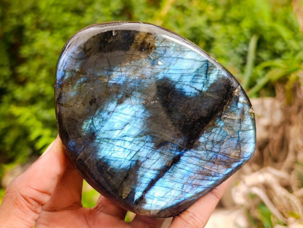 Polished Labradorite Standing Free Forms x 3 From Madagascar - Toprock Gemstones and Minerals 
