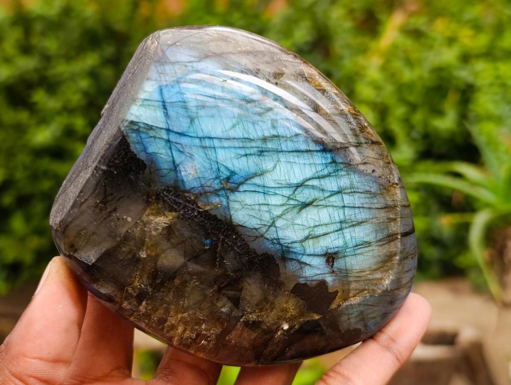 Polished Labradorite Standing Free Forms x 3 From Madagascar - Toprock Gemstones and Minerals 