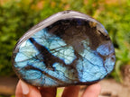 Polished Labradorite Standing Free Forms x 3 From Madagascar - Toprock Gemstones and Minerals 