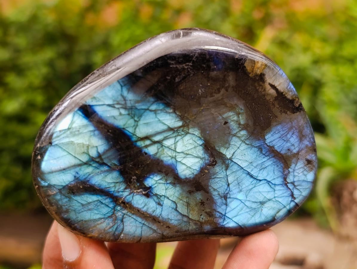Polished Labradorite Standing Free Forms x 3 From Madagascar - Toprock Gemstones and Minerals 