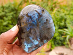 Polished Labradorite Standing Free Forms x 3 From Madagascar - Toprock Gemstones and Minerals 