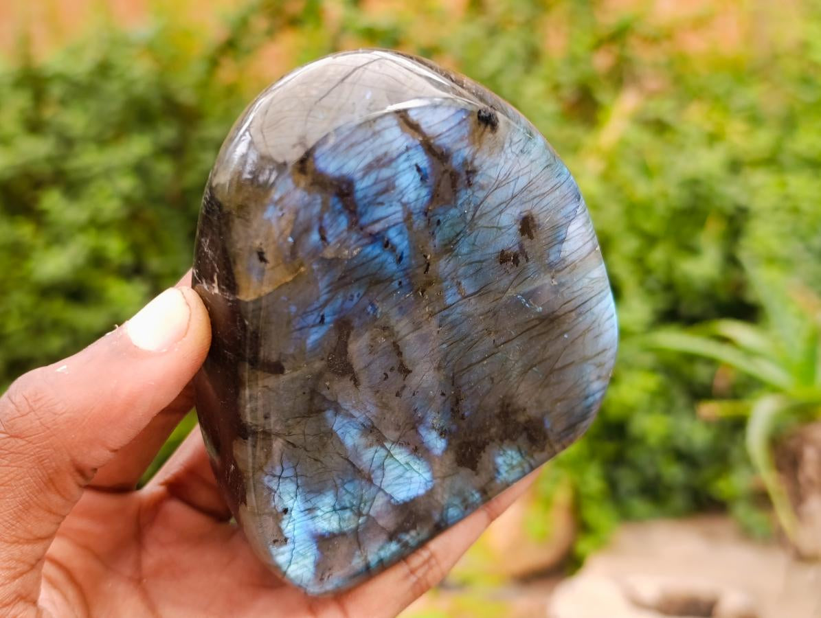 Polished Labradorite Standing Free Forms x 3 From Madagascar - Toprock Gemstones and Minerals 