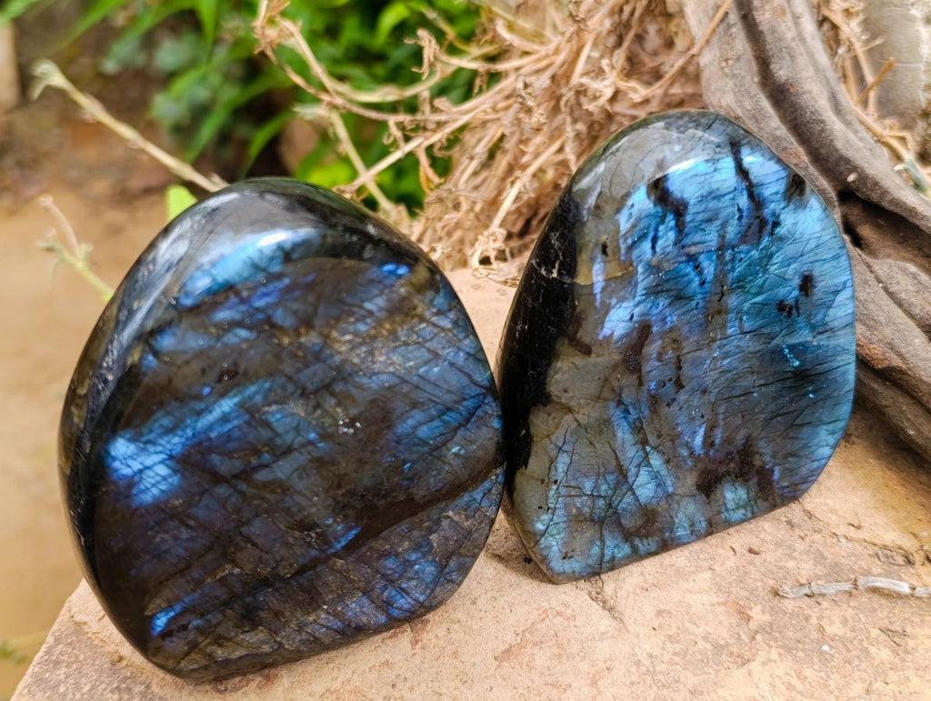 Polished Labradorite Standing Free Forms x 3 From Madagascar - Toprock Gemstones and Minerals 