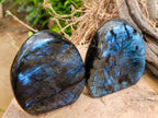 Polished Labradorite Standing Free Forms x 3 From Madagascar - Toprock Gemstones and Minerals 