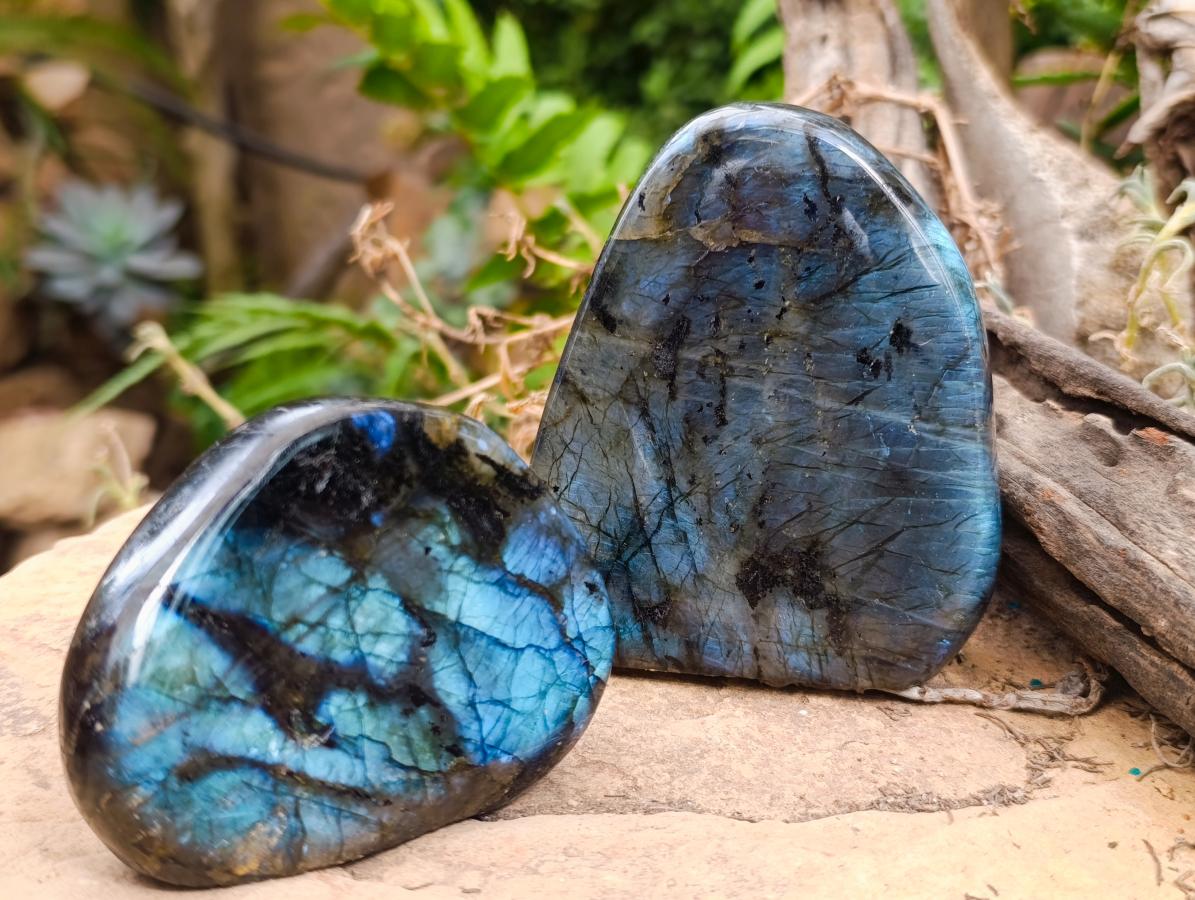 Polished Labradorite Standing Free Forms x 3 From Madagascar - Toprock Gemstones and Minerals 