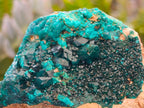 Natural Dioptase on Dolomite Specimens with Malachite x 4 From Likasi, Congo - Toprock Gemstones and Minerals 