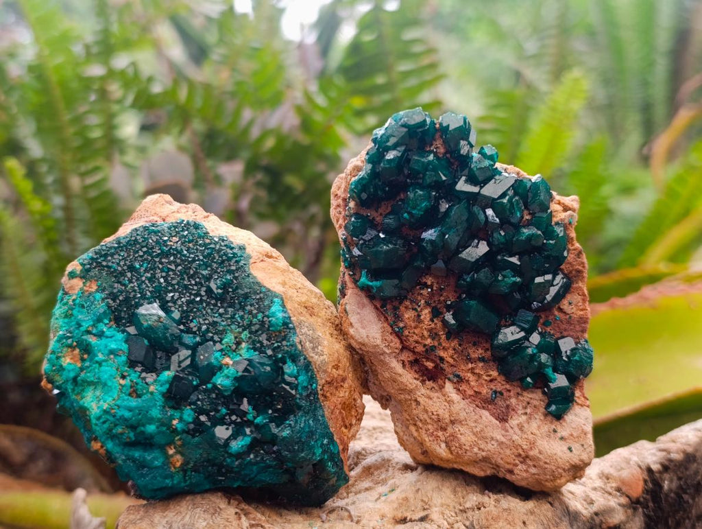 Natural Silky Malachite Specimens x 20 From Kasompe, Congo - Toprock Gemstones and Minerals 