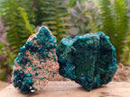 Natural Dioptase on Dolomite Specimens with Malachite x 4 From Likasi, Congo - Toprock Gemstones and Minerals 