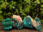 Natural Dioptase on Dolomite Specimens with Malachite x 4 From Likasi, Congo - Toprock Gemstones and Minerals 