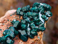Natural Dioptase on Dolomite Specimens with Malachite x 4 From Likasi, Congo - Toprock Gemstones and Minerals 