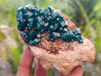 Natural Dioptase on Dolomite Specimens with Malachite x 4 From Likasi, Congo - Toprock Gemstones and Minerals 