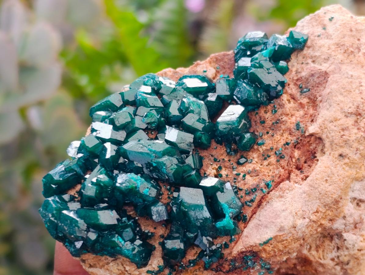 Natural Dioptase on Dolomite Specimens with Malachite x 4 From Likasi, Congo - Toprock Gemstones and Minerals 
