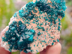 Natural Dioptase on Dolomite Specimens with Malachite x 4 From Likasi, Congo - Toprock Gemstones and Minerals 