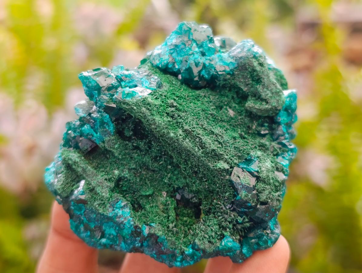 Natural Dioptase on Dolomite Specimens with Malachite x 4 From Likasi, Congo - Toprock Gemstones and Minerals 