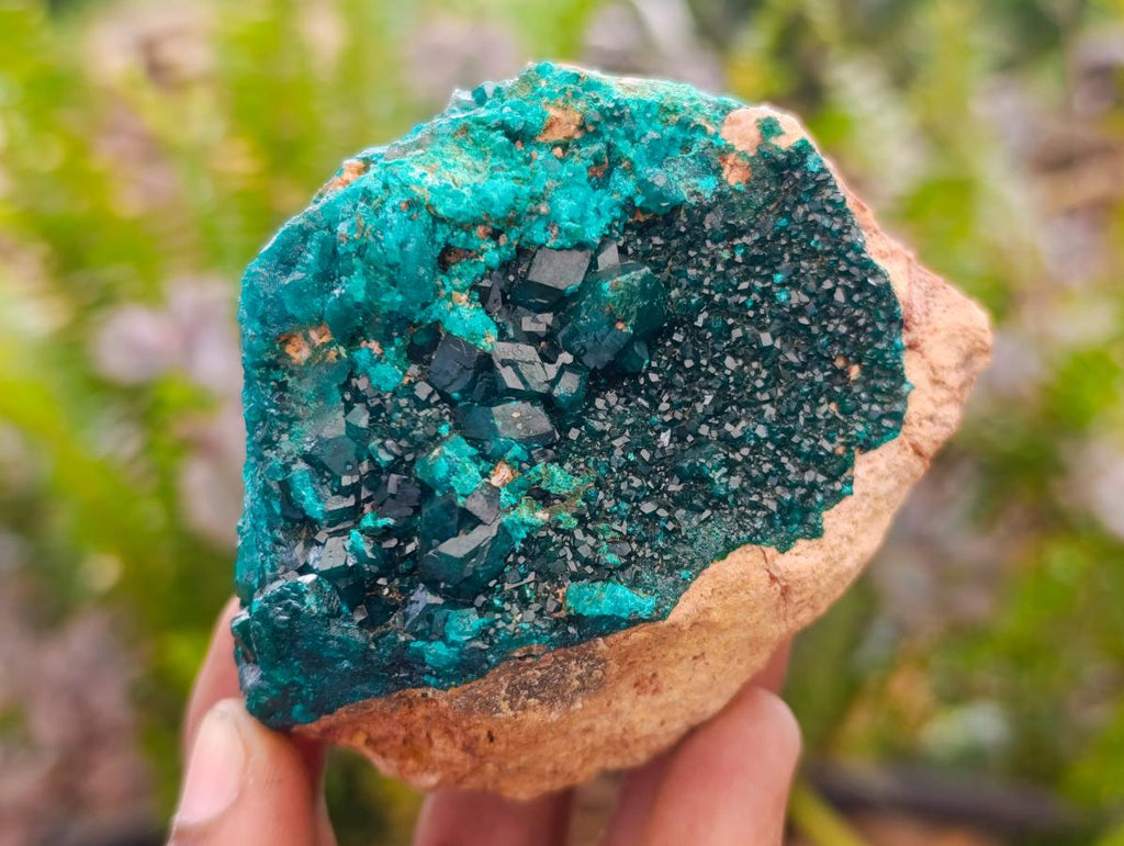 Natural Dioptase on Dolomite Specimens with Malachite x 4 From Likasi, Congo - Toprock Gemstones and Minerals 