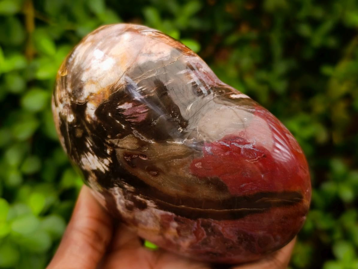 Polished Large Red Podocarpus Petrified Wood Hearts x 3 From Mahajanga, Madagascar - Toprock Gemstones and Minerals 