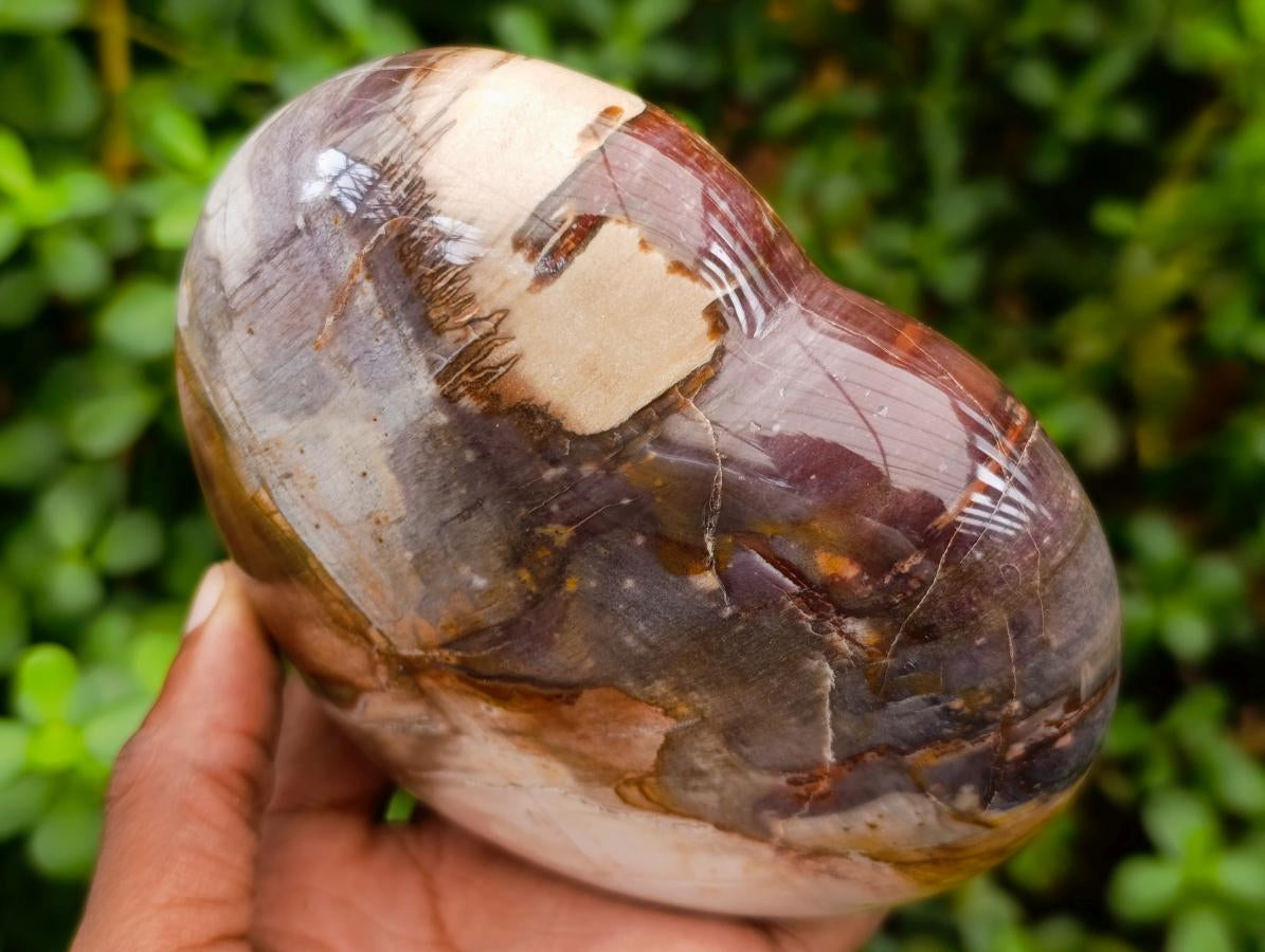 Polished Large Red Podocarpus Petrified Wood Hearts x 3 From Mahajanga, Madagascar - Toprock Gemstones and Minerals 