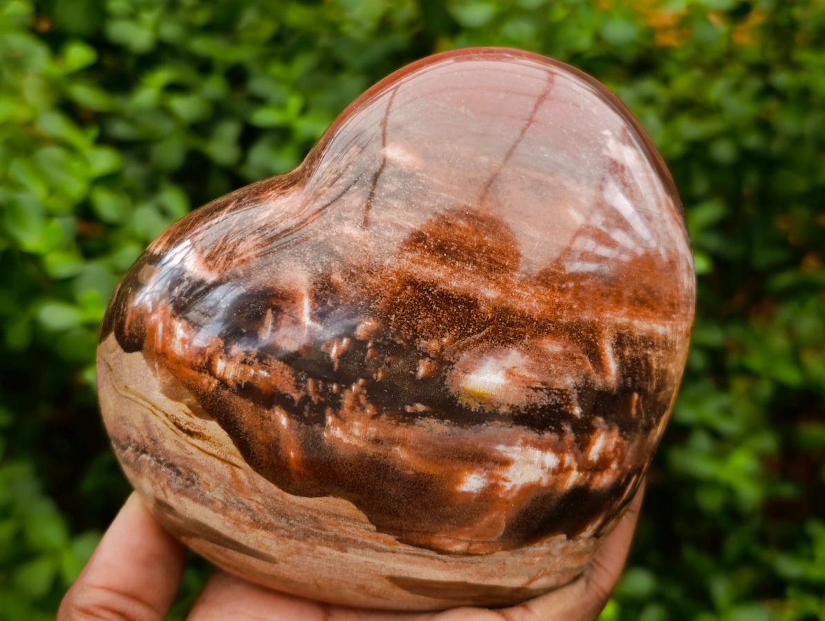 Polished Large Red Podocarpus Petrified Wood Hearts x 3 From Mahajanga, Madagascar - Toprock Gemstones and Minerals 
