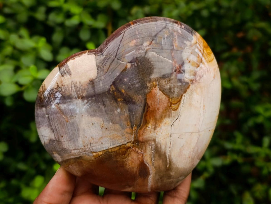 Polished Large Red Podocarpus Petrified Wood Hearts x 3 From Mahajanga, Madagascar - Toprock Gemstones and Minerals 