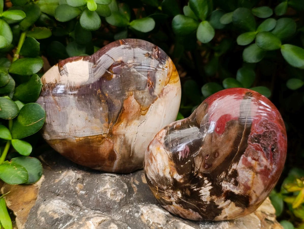 Polished Large Red Podocarpus Petrified Wood Hearts x 3 From Mahajanga, Madagascar - Toprock Gemstones and Minerals 