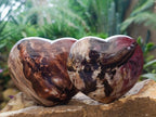 Polished Large Red Podocarpus Petrified Wood Hearts x 3 From Mahajanga, Madagascar - Toprock Gemstones and Minerals 