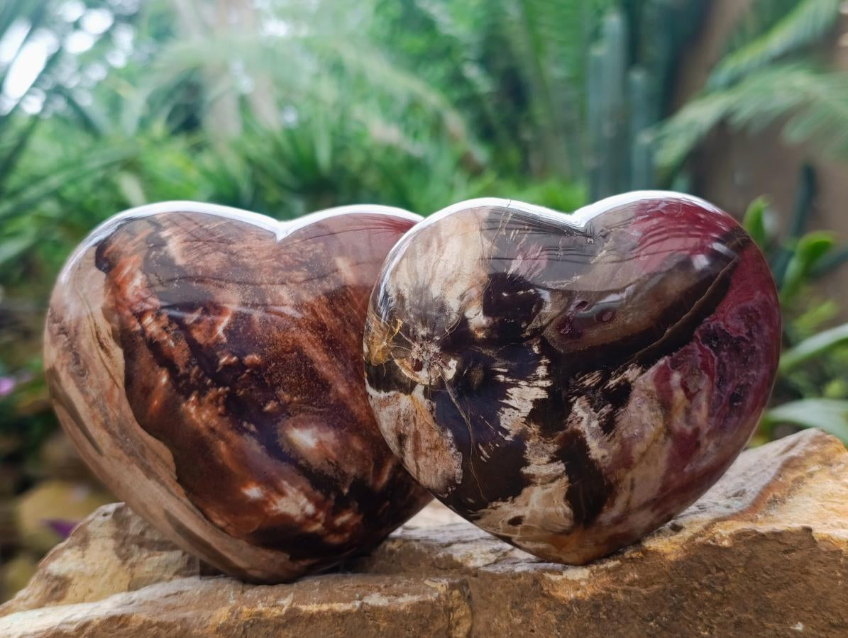Polished Large Red Podocarpus Petrified Wood Hearts x 3 From Mahajanga, Madagascar - Toprock Gemstones and Minerals 