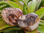 Polished Large Red Podocarpus Petrified Wood Hearts x 3 From Mahajanga, Madagascar - Toprock Gemstones and Minerals 