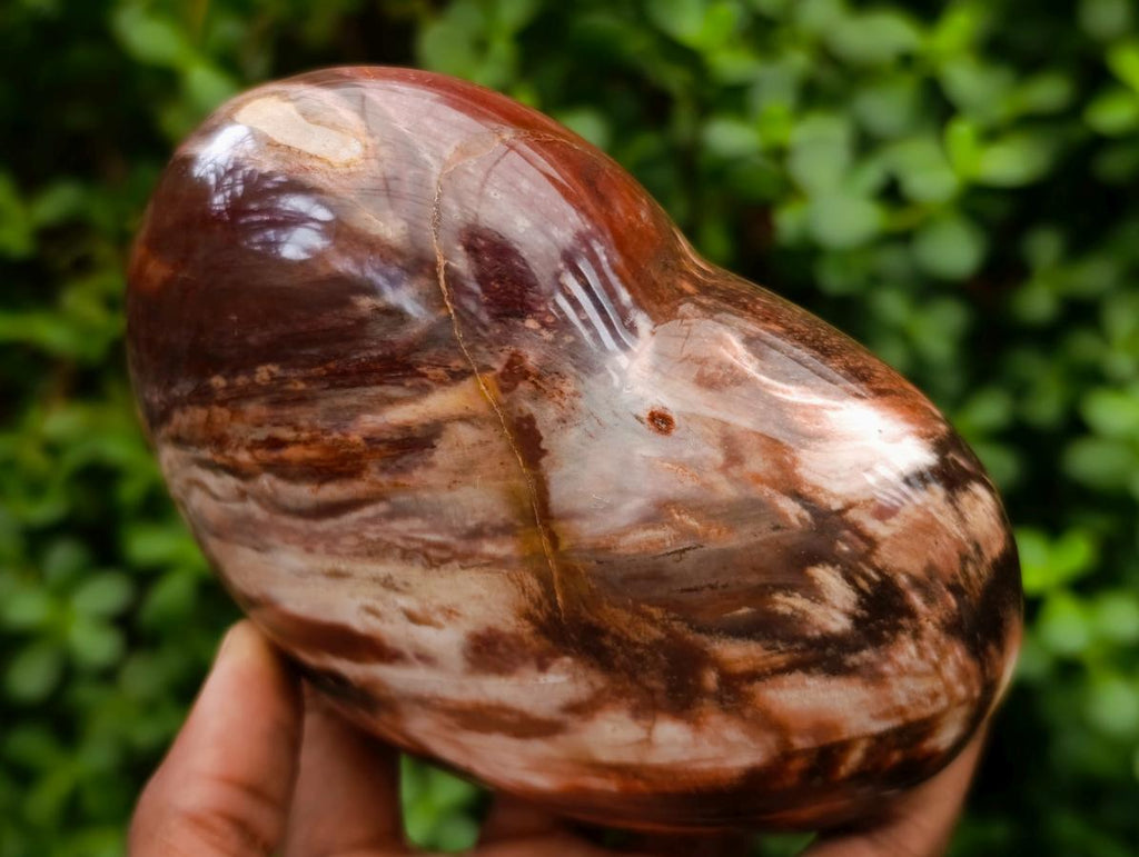 Polished Large Red Podocarpus Petrified Wood Hearts x 3 From Mahajanga, Madagascar - Toprock Gemstones and Minerals 