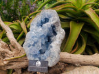 Natural XL Blue Celestite Geode Specimen x 1 From Sakoany, Madagascar - Toprock Gemstones and Minerals 