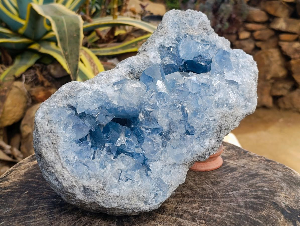 Natural XL Blue Celestite Geode Specimen x 1 From Sakoany, Madagascar - Toprock Gemstones and Minerals 