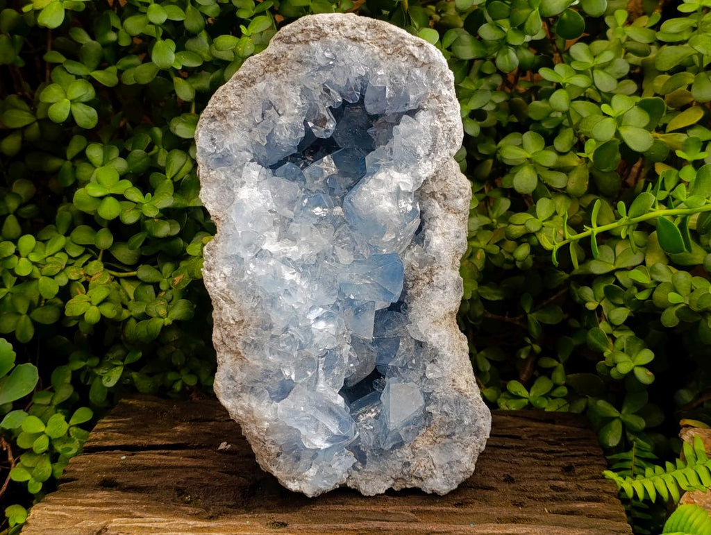Natural XL Blue Celestite Geode Specimen x 1 From Sakoany, Madagascar - Toprock Gemstones and Minerals 