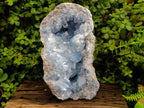 Natural XL Blue Celestite Geode Specimen x 1 From Sakoany, Madagascar - Toprock Gemstones and Minerals 