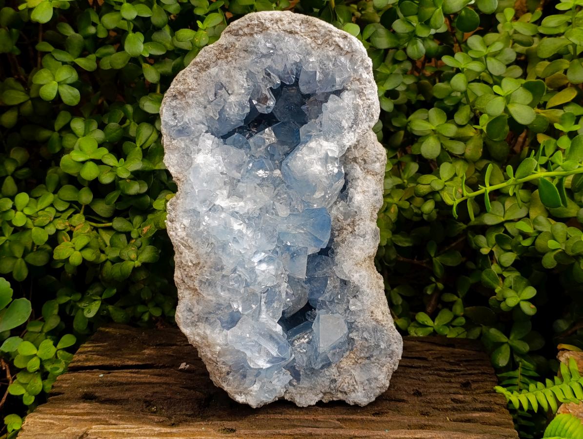 Natural XL Blue Celestite Geode Specimen x 1 From Sakoany, Madagascar - Toprock Gemstones and Minerals 