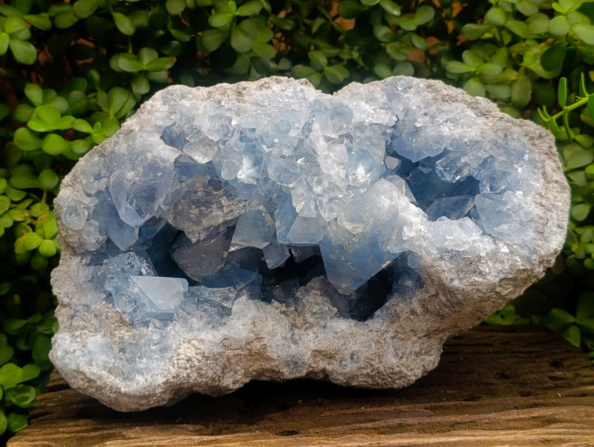 Natural XL Blue Celestite Geode Specimen x 1 From Sakoany, Madagascar - Toprock Gemstones and Minerals 