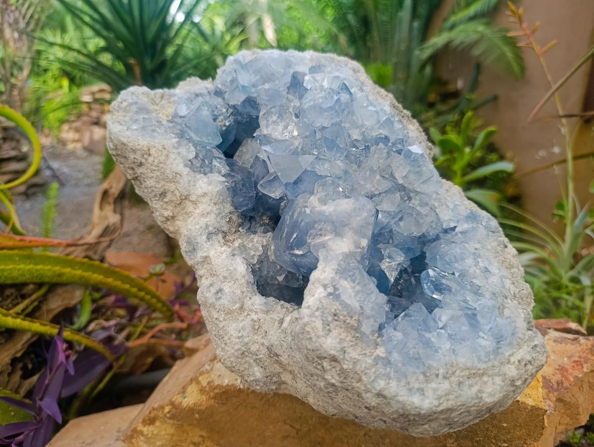Natural XL Blue Celestite Geode Specimen x 1 From Sakoany, Madagascar - Toprock Gemstones and Minerals 
