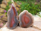Polished One Side Red Shashe River Agate Nodules x 24 From Shashe River, Zimbabwe - Toprock Gemstones and Minerals 