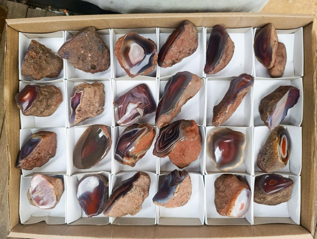 Polished One Side Red Shashe River Agate Nodules x 24 From Shashe River, Zimbabwe - Toprock Gemstones and Minerals 
