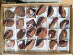 Polished One Side Red Shashe River Agate Nodules x 24 From Shashe River, Zimbabwe - Toprock Gemstones and Minerals 