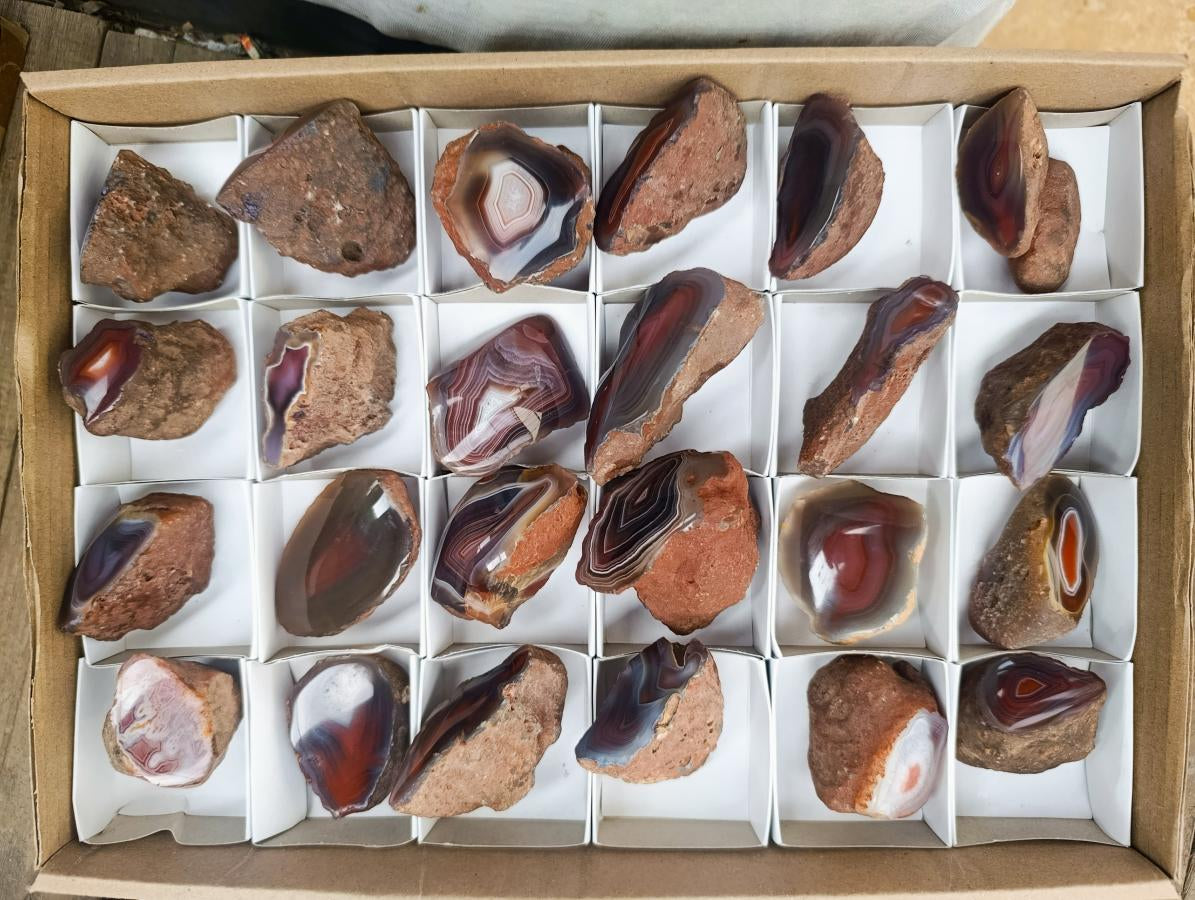 Polished One Side Red Shashe River Agate Nodules x 24 From Shashe River, Zimbabwe - Toprock Gemstones and Minerals 