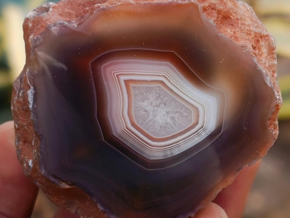 Polished One Side Red Shashe River Agate Nodules x 24 From Shashe River, Zimbabwe - Toprock Gemstones and Minerals 