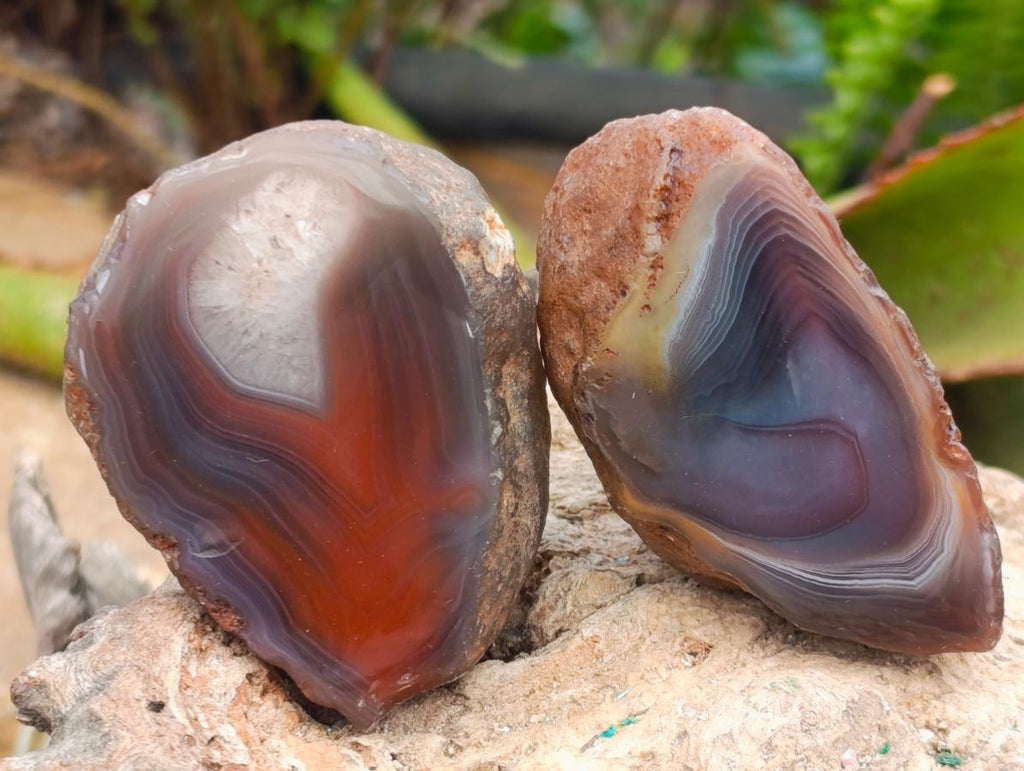 Polished One Side Red Shashe River Agate Nodules x 24 From Shashe River, Zimbabwe - Toprock Gemstones and Minerals 