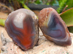 Polished One Side Red Shashe River Agate Nodules x 24 From Shashe River, Zimbabwe - Toprock Gemstones and Minerals 