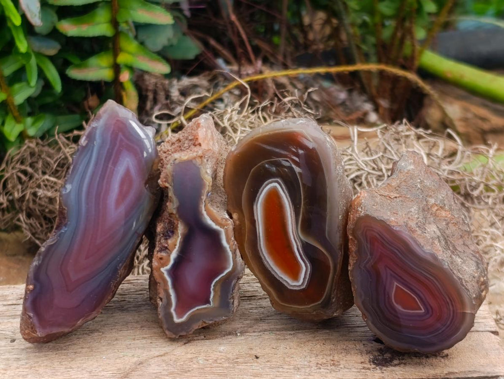 Polished One Side Red Shashe River Agate Nodules x 24 From Shashe River, Zimbabwe - Toprock Gemstones and Minerals 