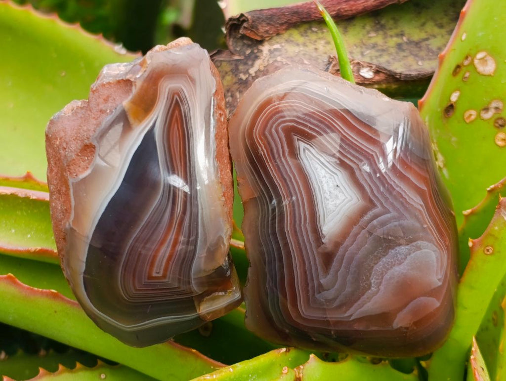 Polished One Side Red Shashe River Agate Nodules x 24 From Shashe River, Zimbabwe - Toprock Gemstones and Minerals 