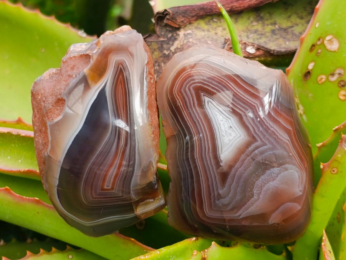 Polished One Side Red Shashe River Agate Nodules x 24 From Shashe River, Zimbabwe - Toprock Gemstones and Minerals 