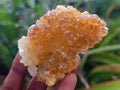 Natural Golden Limonite Quartz Clusters with Goethite x 28 From Solwezi, Zambia - Toprock Gemstones and Minerals 