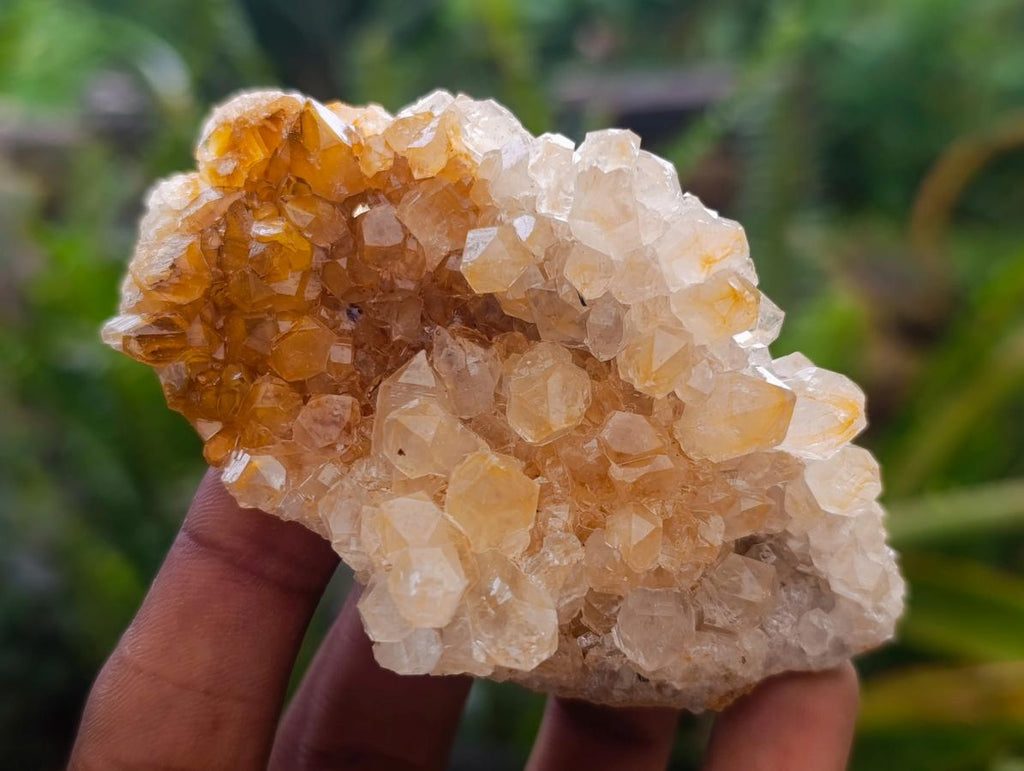 Natural Golden Limonite Quartz Clusters with Goethite x 28 From Solwezi, Zambia - Toprock Gemstones and Minerals 