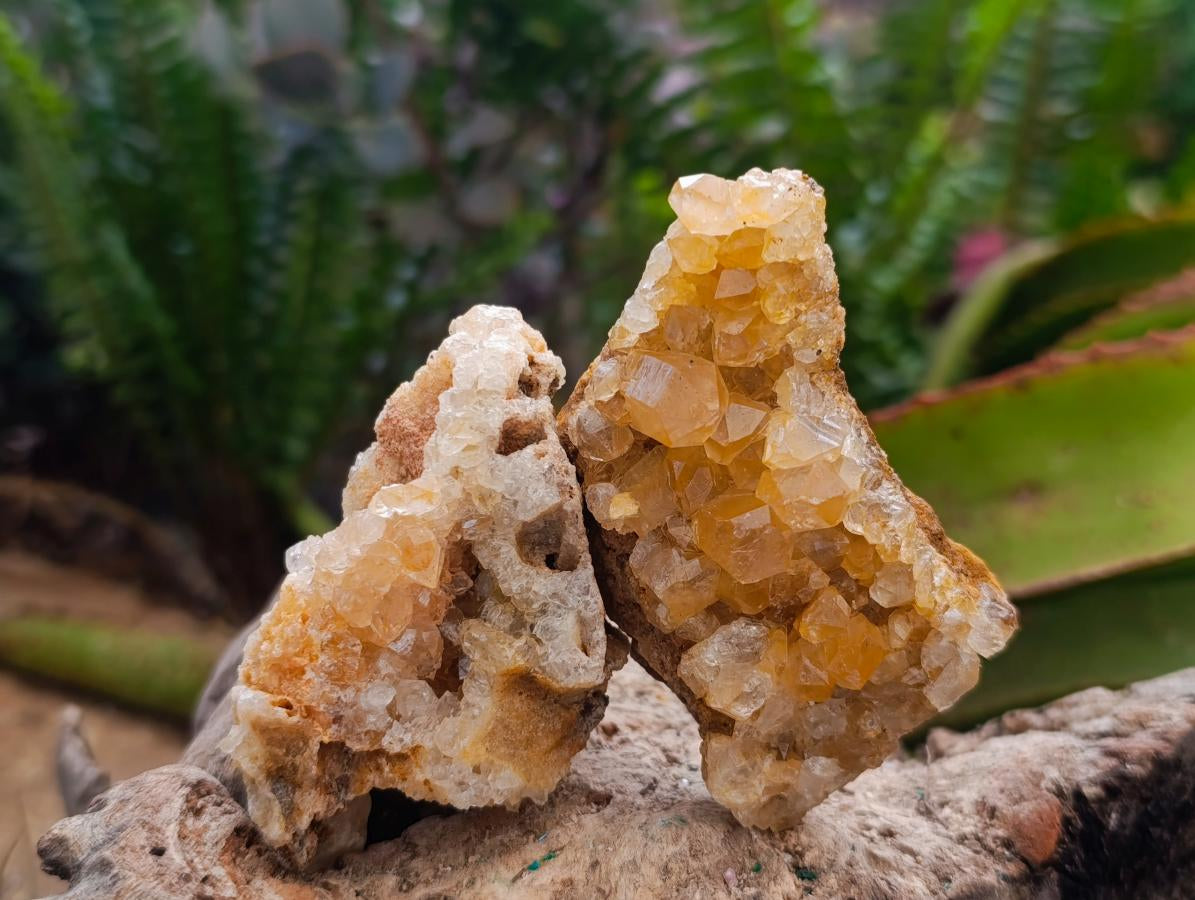 Natural Golden Limonite Quartz Clusters with Goethite x 28 From Solwezi, Zambia - Toprock Gemstones and Minerals 