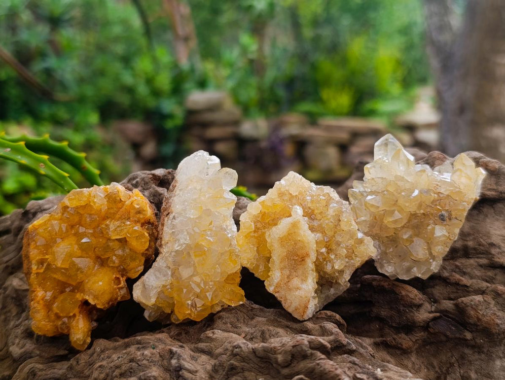 Natural Golden Limonite Quartz Clusters with Goethite x 28 From Solwezi, Zambia - Toprock Gemstones and Minerals 